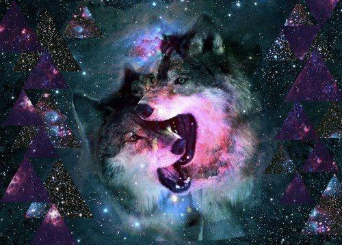 Free download Galaxy Wolf Wallpaper [1024x640] for your Desktop, Mobile