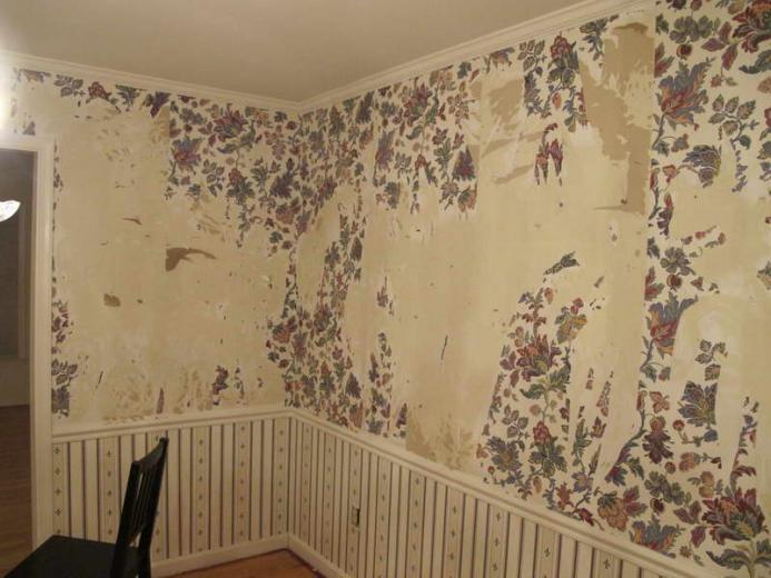 Free download Best Way To Remove Wallpaper [750x750] for your