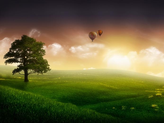 🔥 Free Download Beautiful Trees Wallpaper Image by @nicolestevens ...