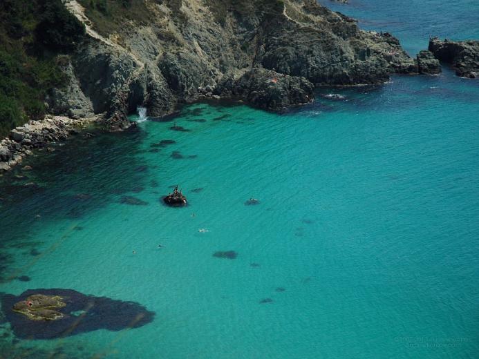 Free download Wallpaper Samples Anthropologie Great World [565x465] for