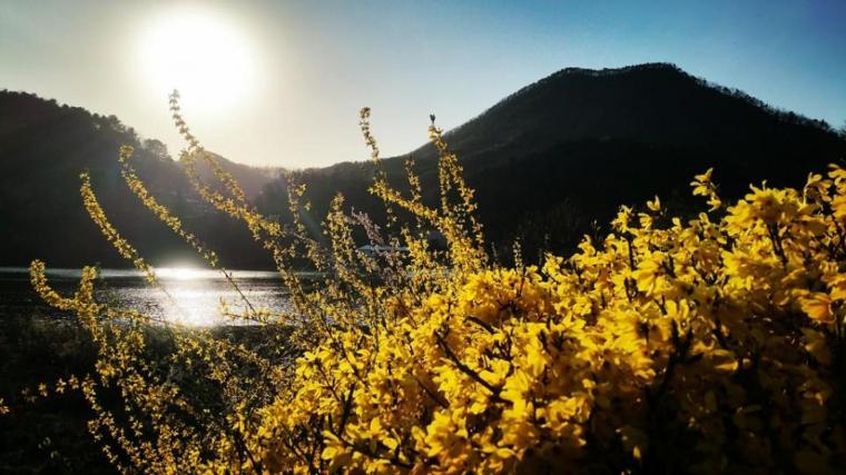 🔥 [20+] Spring, Summer, Autumn, Winter Wallpapers | WallpaperSafari