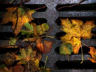 Fall Wallpaper For Pc Mac iPhone And iPad