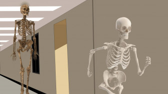 Skeleton Meme Wallpaper