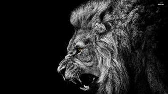 Roaring Lion Wallpaper Background Photos Image Pictures