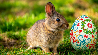 Easter X Background Wallpaper