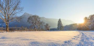 Winter Best Activities Food Crafts More