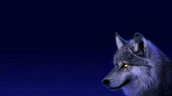 Beautiful Wolf Wallpaper