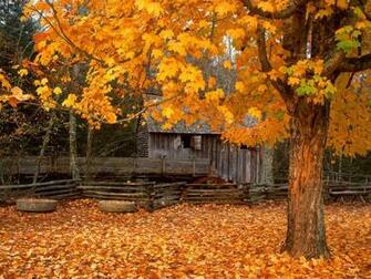 Great Smoky Mountains National Park Tennessee Wallpaperuggest