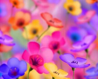 Flowers For Flower Lovers Background Desktop Wallpaper