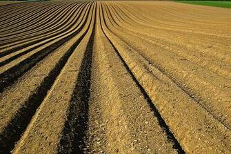 Ground Field Farm Soil Farmland