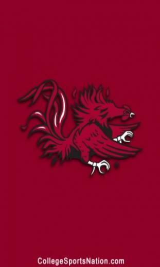 Related Pictures Gamecocks Wallpaper South Carolina