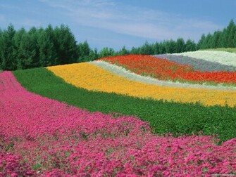 Wallpaper Nature Of Japan Pack Hq