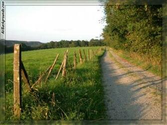 Dirt Road Country Background If You Need