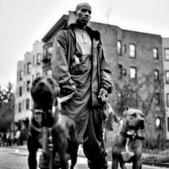 Dmx Wallpaper Top Background