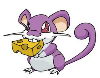 Rattata Pokemon Wallpaper Image