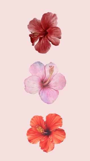 0e2ed443dcd03adbea83d8cde863158b Wallpaper