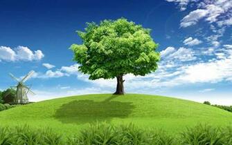 Cool Tree Wallpaper