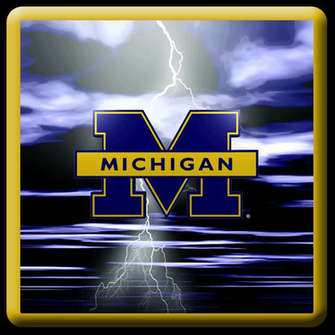 Michigan Wolverines Wallpaper Html Filesize X256