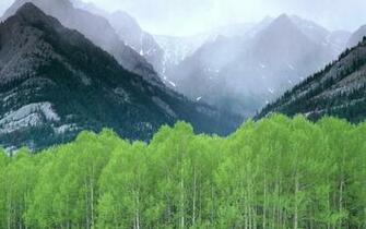 Canadian Rockies Wallpaper