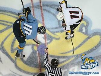 Fan S Toledo Walleye