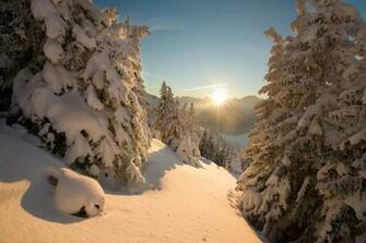 High Resolution Wallpaper Amazing Natural Forest