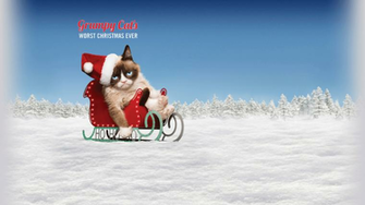 Grumpy Cat S Worst Christmas Ever Lifetime