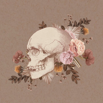 Aesthetic Sticker Image Wallpaper