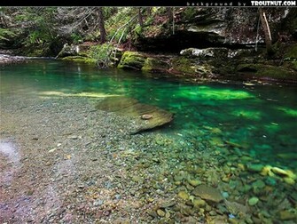 Fly Fishing Wallpaper