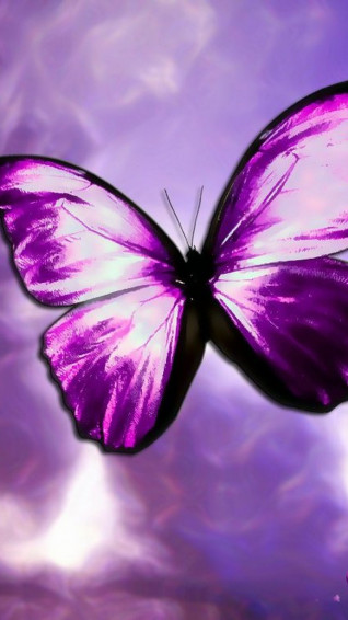 Purple Butterfly Mobile Wallpaper HD