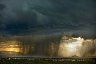 Storm Summer Biography