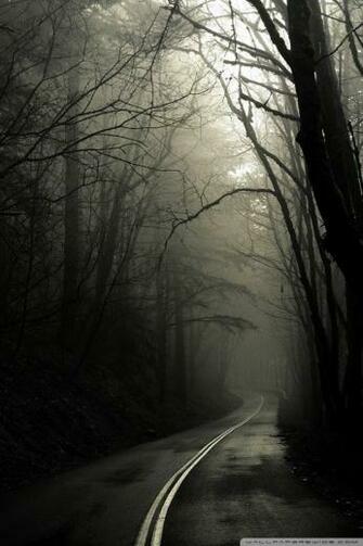 Dark Road Forest 4k HD Desktop Wallpaper For Ultra Tv
