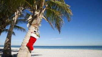 Alihoco Of Brits Dream Christmas In The Sunshine