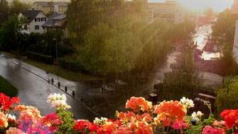 Beautiful Rainy Day Wallpaper On