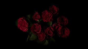 Red Roses Dark Rose Flowers 4k Wallpaper HDwallpaper