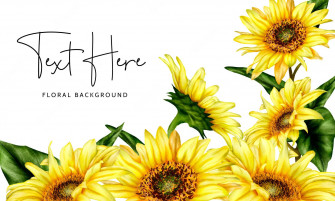 Sunflowers And Roses X Wallpaper