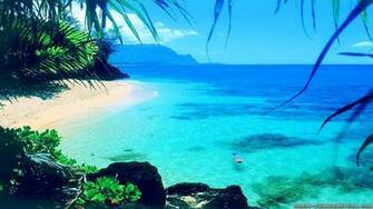 Wallpaper Summer