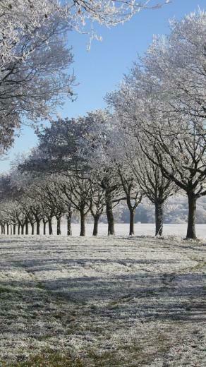 Ios Winter Wallpaper