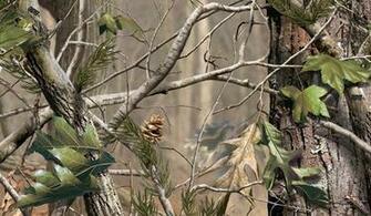 Realtree Ap Desktop Wallpaper Related Pictures