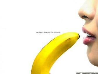 Wallpaper Best Quality Funny