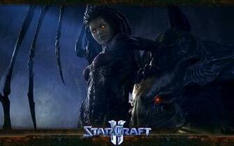 Could Not Find In The Internet Starcraft Widescreen Wallpaper