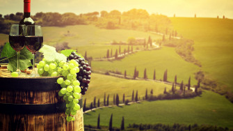 Desktop Wallpaper Tuscany Italy Wine Cask Fields Grapes