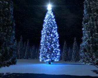 Christmas Blue Tree Desktop Pc And Mac Wallpaper