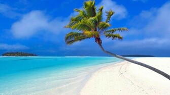 HD Wallpaper For All Resolution Beach