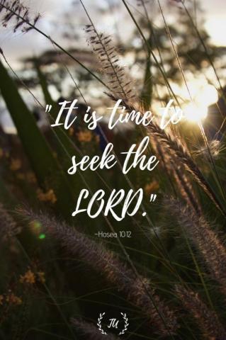 Weekly Scripture Image To Unearth Bible Encouragement