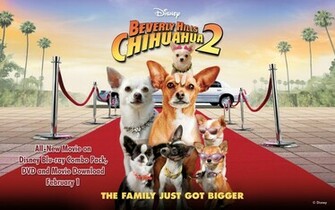 Beverly Hills Chihuahua Wallpaper Disney