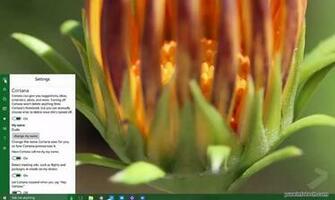 Windows Build Hands On With The Start Menu Blur Cortana And