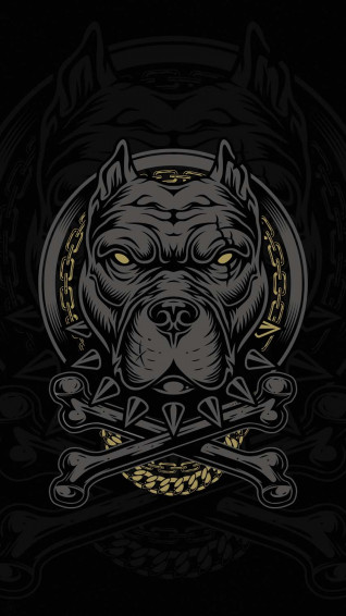 Pitbull Dog Wallpaper For iPhone