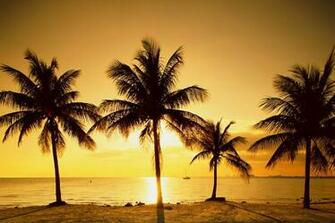 Nature Beautifull Wallpaper Beautiful Country Pictures