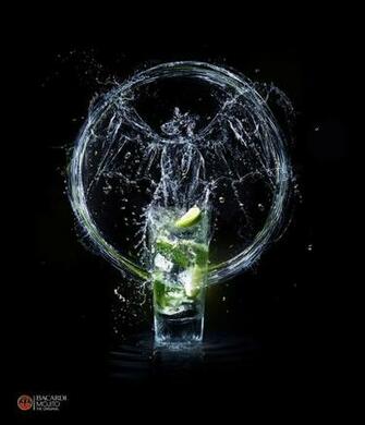 Bacardi The Original Drinking To Become Genius Photo