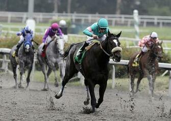 Kootation Horse Racing Animals Other Wallpaper Desktop Html